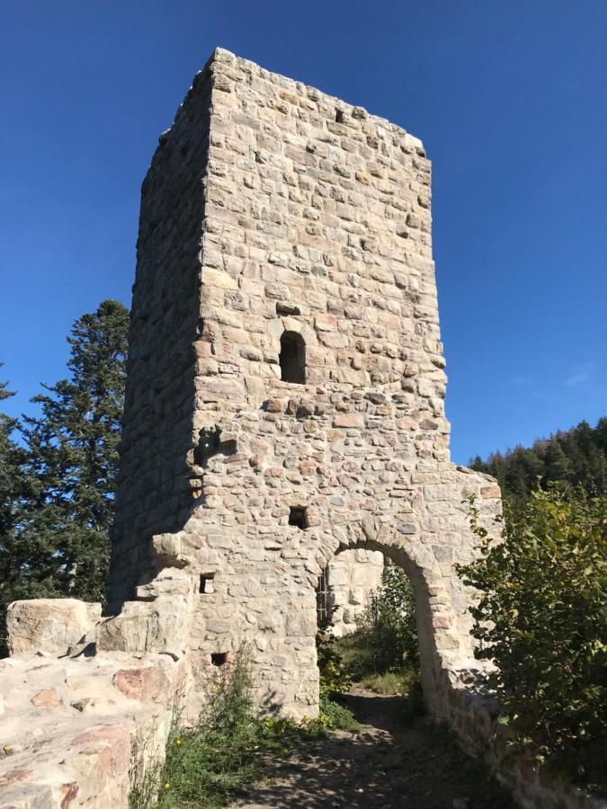 Landgasthof Alpenblick An Der Wutachschlucht Suedschwarzwald レーッフィンゲン エクステリア 写真