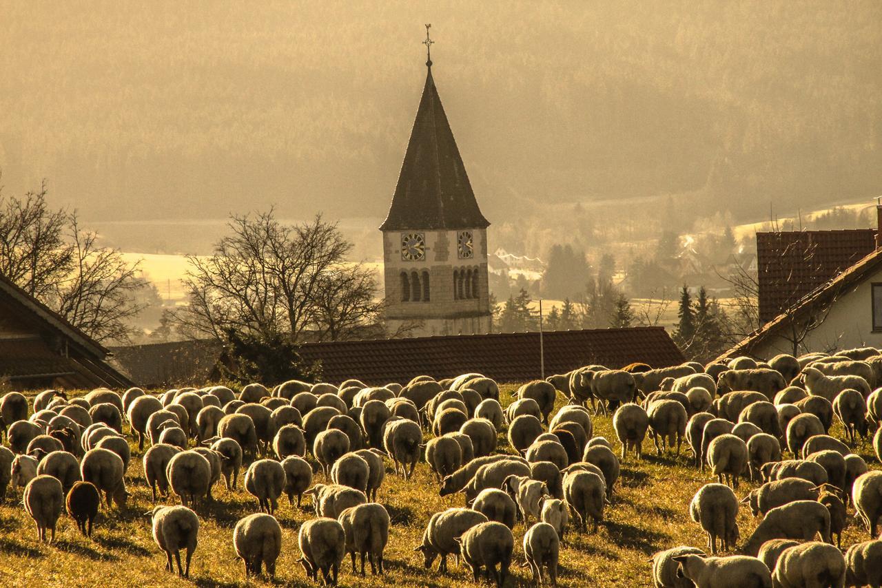 Landgasthof Alpenblick An Der Wutachschlucht Suedschwarzwald レーッフィンゲン エクステリア 写真