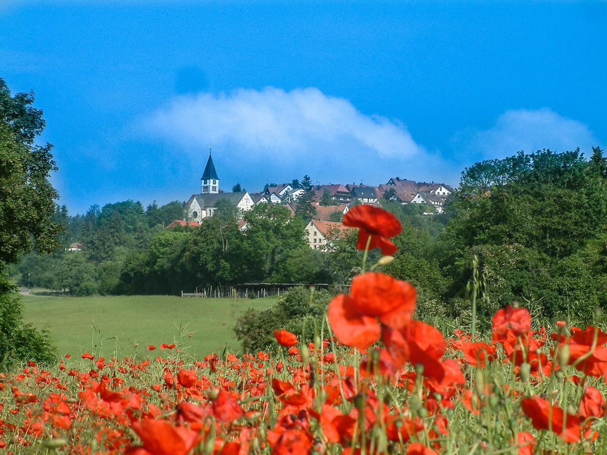 Landgasthof Alpenblick An Der Wutachschlucht Suedschwarzwald レーッフィンゲン エクステリア 写真